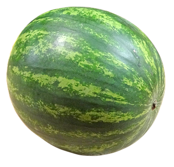 Meloun vodní 1ks (cca 4-5kg)