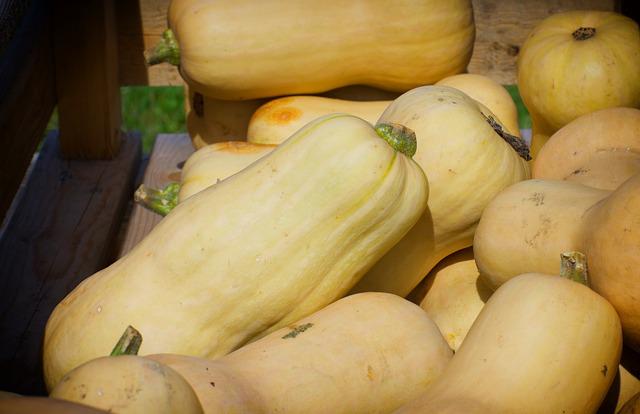 Špagetová dýně cca 1,3kg